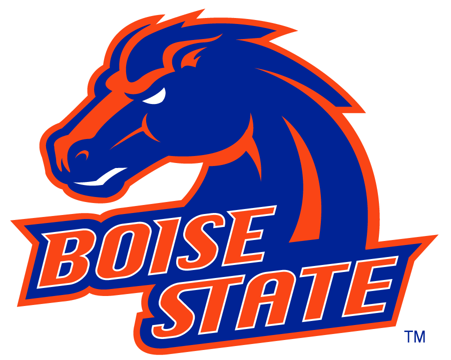 Boise State Broncos 2002-2012 Alternate Logo v5 diy iron on heat transfer
